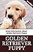 Golden Retriever Puppy: Great Information About Golden Retriever Puppy