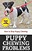 Puppy Chewing Problems: How to Stop Puppy Chewing Problems