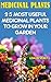 Medicinal Plants: 25 Most Useful Medicinal Plants To Grow In your Garden: (Medicinal Herbs) (Alternative Medicine Book 1)