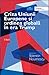 Criza Uniunii Europene și ordinea globală în era Trump