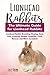 Lionhead Rabbits: Lionhead ...