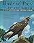 Birds Of Prey Of The World