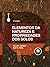 Elementos da Natureza e Propriedades dos Solos (Portuguese Edition)