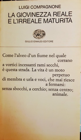 La giovinezza reale e l'irreale maturità (Paperback)