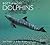 Bottlenose Dolphins by Paul Thompson