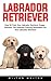 Labrador Retriever: How To Train Your Labrador Retriever Puppy - Discover The Ultimate Training Techniques For Your Labrador Retriever!