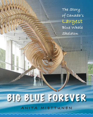 Big Blue Forever: The Story of Canada's Largest Blue Whale Skeleton