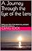 A Journey Through the Eye o...