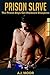 Prison Slave: The Prison Boys Get Hardcore Discipline