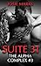 Suite 31 : The Alpha Complex #3