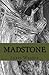 Madstone: The Heir of Hunde (The Legacy Progression Book 1)
