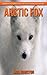 Arctic Fox: Amazing Pictures & Fun Facts on Animals in Nature