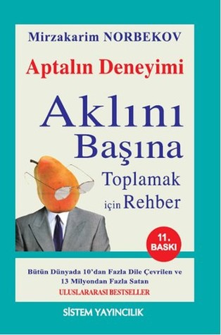Aptalın Deneyimi