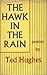 The Hawk in the Rain