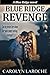 Blue Ridge Revenge: A Blue Ridge Novel-Book 1 (Blue Ridge Series)