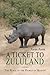 A Ticket to Zululand : ‘The...