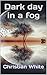 Dark day in a fog