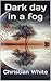 Dark day in a fog by Christian White