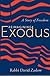 Reimagining Exodus by David Zaslow