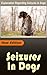 Seizures in Dogs: Explanation Regarding Seizures in Dogs