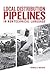 Local Distribution Pipelines in Nontechnical Language by Thomas O. Miesner