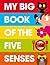 My Big Book of the Five Senses