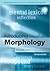 Introducing Morphology