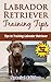 Labrador Retriever Training...