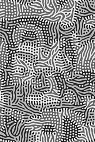 El señor caos (Unknown Binding)