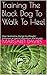 Training The Black Dog To Walk To Heel: How I learned to change my thought processes to control depression and anxiety
