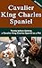 Cavalier King Charles Spani...