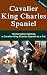 Cavalier King Charles Spaniel: Think Before Getting a Cavalier King Charles Spaniel as A Pet