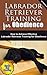Labrador Retriever Training for Obedience: How to Achieve Effective Labrador Retriever Training for Obedience