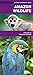 Amazon Wildlife: A Waterproof Pocket Guide to Familiar Species (A Pocket Naturalist Guide)