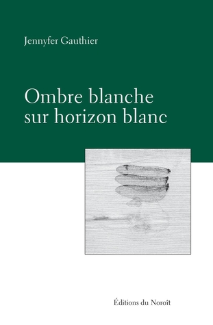 Ombre blanche sur horizon blanc (ebook)