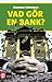 Vad gör en bank?