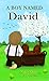 A Boy Named David (Civil Wa...