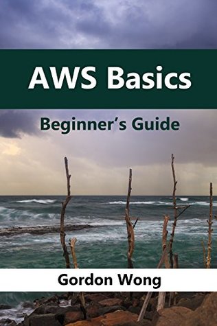 AWS Basics: Beginners Guide (Kindle Edition)