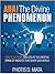 AHA Moment. The Divine Phenomenon : How To Activate And Utilize The Creative Spark Of Insights That Shape Our World