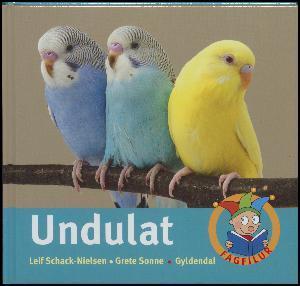 Undulat
