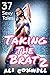 Taking The Brat 2 - 37 Sexy Tales