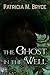 The Ghost in the Well