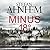 Minus 18 Grad (Fabian Risk, #3)