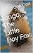 Tengo; The Little Boy Fox.