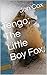 Tengo; The Little Boy Fox. by Jon Cox