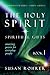 The Holy Spirit Spiritual Gifts, Book 1 Amazing Power for Everyday People (Illuminated Bible Study Guides) by Susan Rohrer