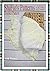 Crochet Pattern - CP97 - Sh...