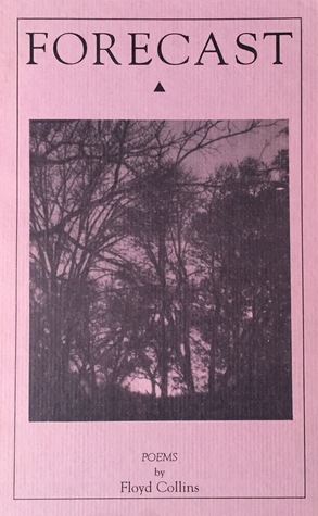 Forecast: Poems (Hardcover)