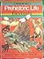 Prehistoric Life Encyclopedia