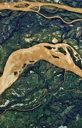 Al campo (Unknown Binding)